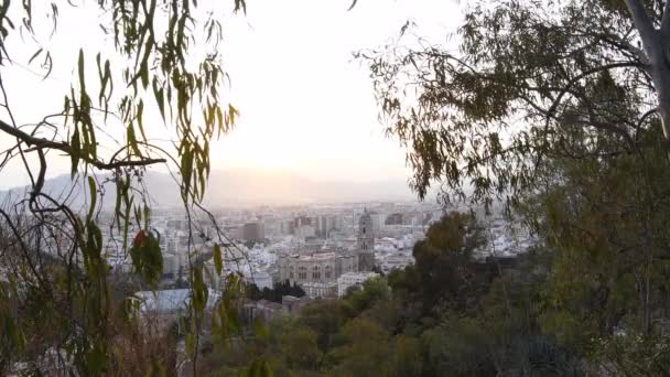 Catedral Ciudad Málaga Atardecer Desde Gibralfaro España — Vídeo de stock