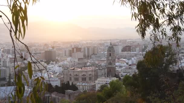 Catedral Málaga Ciudad Málaga Atardecer Desde Gibralfaro España — Vídeo de stock