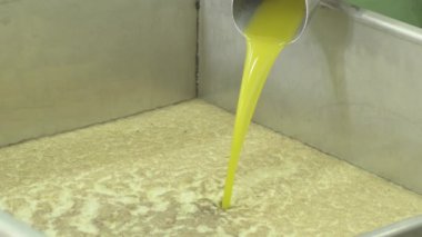 Yağ Değirmenine düşen zeytinyağı Ekstra Bakire Zeytin Üretimi