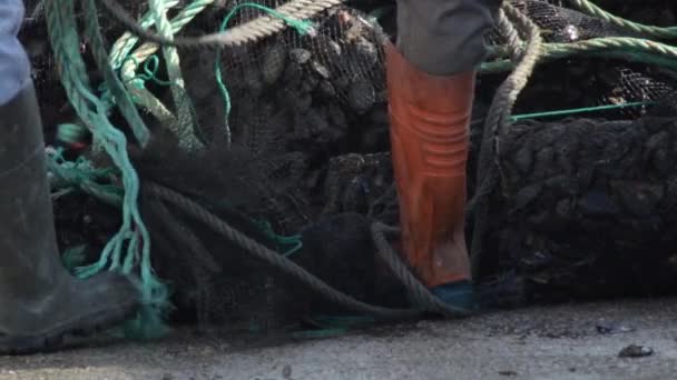 Sítě Mušlemi Právě Chycenými Lodi Rybářském Přístavu — Stock video