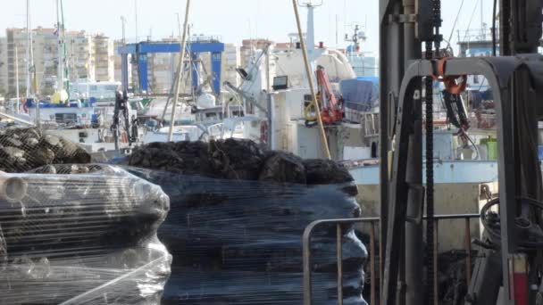 漁港で水揚げされたばかりのムール貝をプラスチックメッシュで梱包 — ストック動画