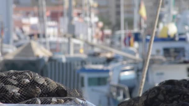 Güneşli Bir Günde Balıkçı Limanında Taze Midye Ağları — Stok video