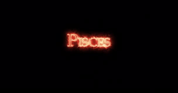 Pisces Astrological Sign Written Fire Loop — Stock Video