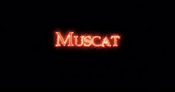 Muscat Napsaný Ohněm Smyčka — Stock video