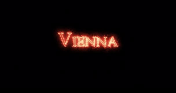 Vienna Written Fire Петля — стоковое видео