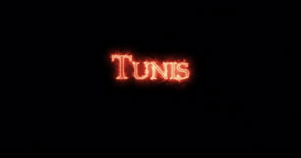 Tunis Written Fire Loop — 비디오