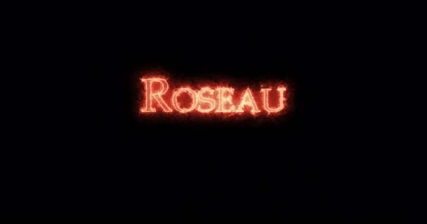 Roseau Written Fire Loop — Stock Video