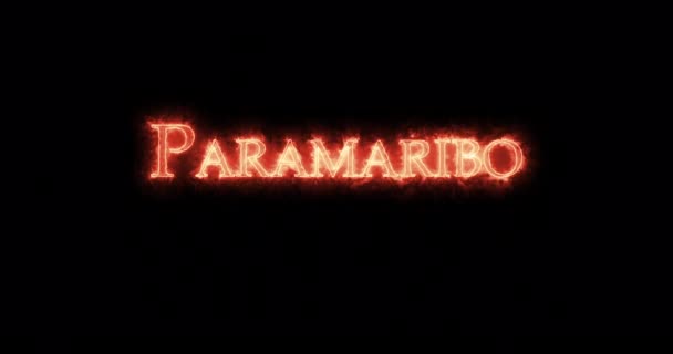 Paramaribo Escrito Con Fuego Bucle — Vídeo de stock