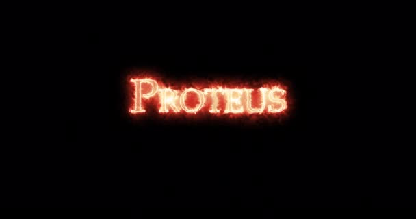 Proteus Ditulis Dengan Api Pengulangan — Stok Video