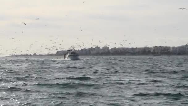 Rybářská Loď Plující Přístavu Racky Letícími Při Západu Slunce — Stock video
