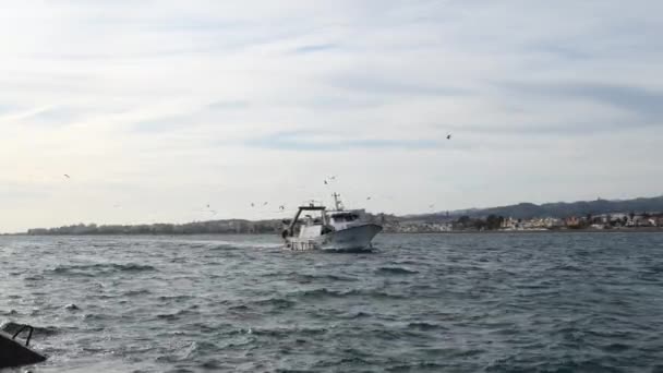 Nave Pescatrice Che Entra Porto Con Gabbiani Che Volano Tramonto — Video Stock