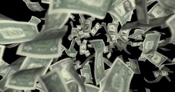 Regen Van Bankbiljetten Van Één Amerikaanse Dollar — Stockvideo