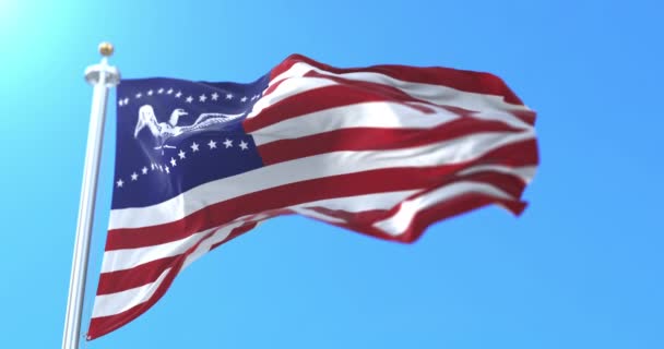 アメリカ合衆国カリフォルニア州フレモント市の旗 ループ — ストック動画