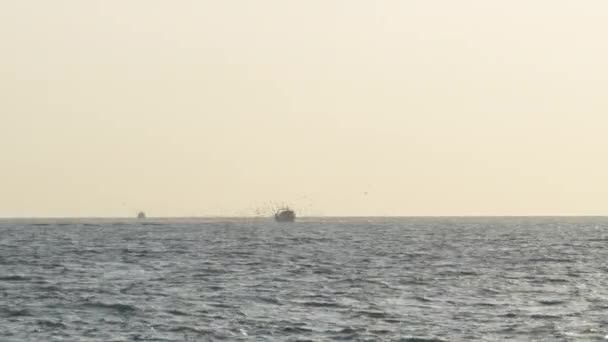 Barco Pescador Con Aves Volando Por Mar Atardecer — Vídeo de stock