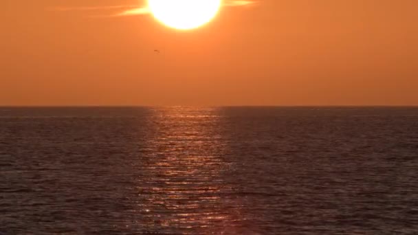日没のビーチでの太陽 — ストック動画