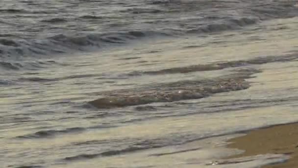 Små Vågor Stranden Vid Solnedgången — Stockvideo