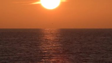 Gün batımında kuşlar denize atlıyor.