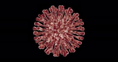Coronavirus molekülü dönüyor. Döngü