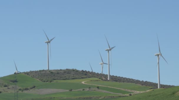 Paisaje Turbinas Eólicas Campo Hojas Móviles Con Cielo Azul — Vídeos de Stock