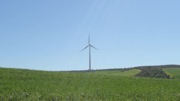 Paisagem Turbina Eólica Energia Renovável Campo Movendo Com Céu Azul — Vídeo de Stock