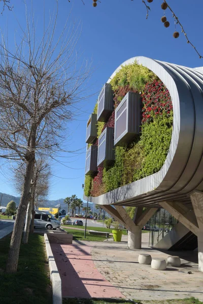 Pencereleri ve bitki duvarları olan modern bina cephesi