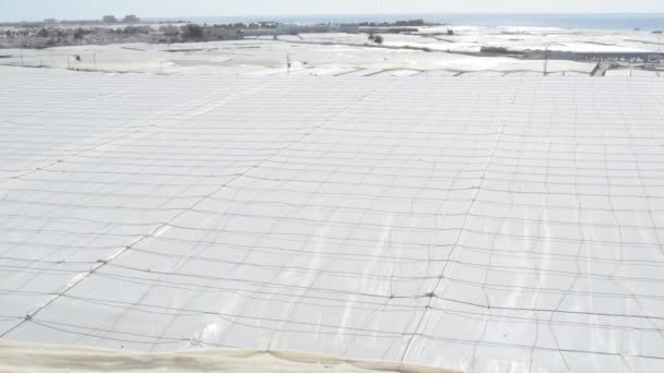 Superfície Estufa Agrícola Dia Ensolarado — Vídeo de Stock