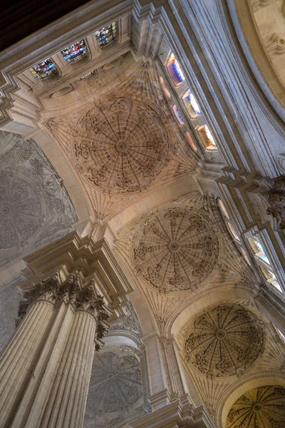 Gran Pilar Bóvedas Interior Catedral Málaga Málaga España — Foto de Stock