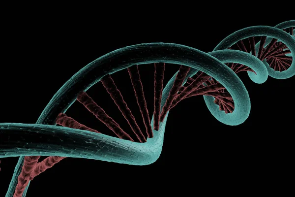 Widok Łańcucha Helikoidalnego Dna Renderowanie — Zdjęcie stockowe