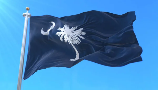 Güney Carolina bayrağı, Amerika Birleşik Devletleri bölgesi, rüzgarda sallanıyor.