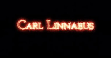 Carl Linnaeus ateşle yazılmış. Döngü