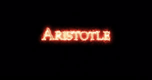 Aristotle Written Fire Loop — Stock Video