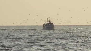 Gün batımında limana uçan kuşlarla dolu bir balıkçı gemisi.