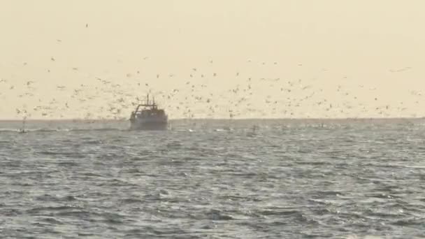 Gün Batımında Denizde Uçan Kuşlarla Dolu Bir Balıkçı Gemisi — Stok video