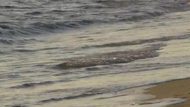 Маленькі Хвилі Березі Пляжу Заході Сонця — стокове відео