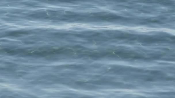 Błękitne Fale Morskie Falujące Spokojnym Dniem — Wideo stockowe