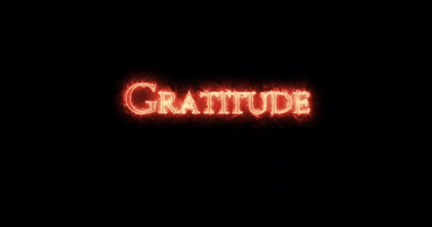 Gratitude Écrite Avec Feu Boucle — Video