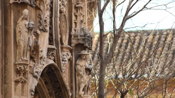 Kirchliche Figuren Der Fassade Einer Kathedrale — Stockvideo