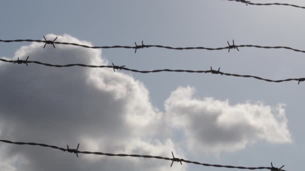 Clouds Passing Barbed Wire Fence — Stock Video