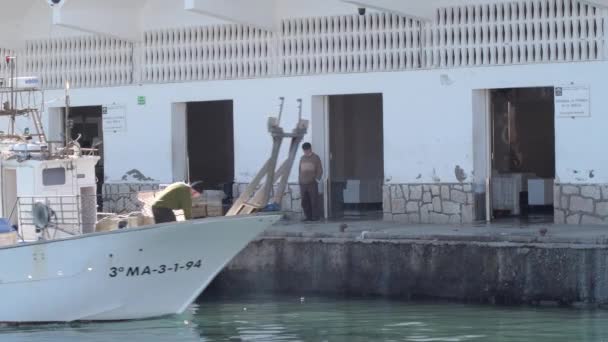 Einem Sonnigen Morgen Legen Kleine Fischerboote Fischereihafen — Stockvideo