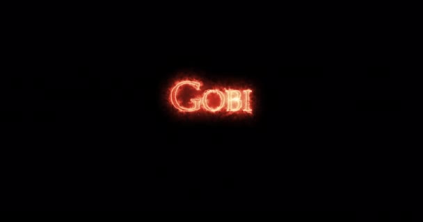 Gobi Escrito Com Fogo Loop — Vídeo de Stock