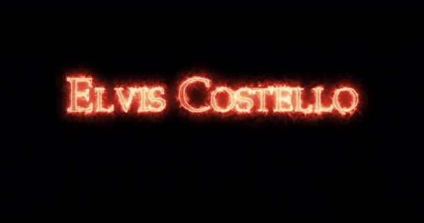 Elvis Costello Escrito Com Fogo Loop — Vídeo de Stock