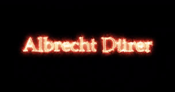 Albrecht Durer Ditulis Dengan Api Pengulangan — Stok Video
