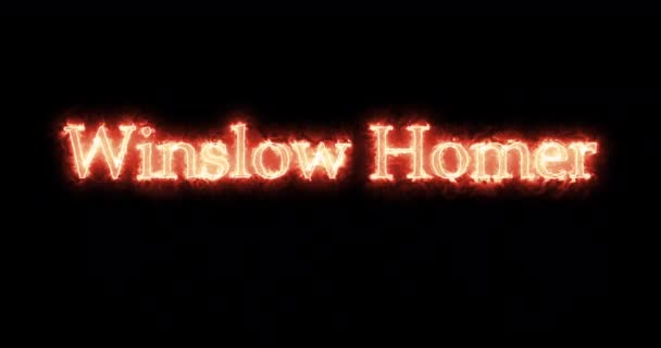 Winslow Homer Written Fire Loop — Stock Video