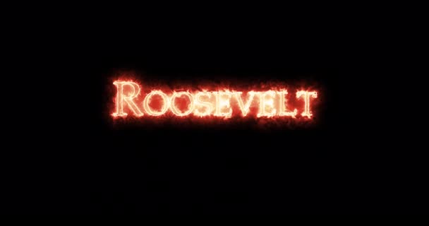 Roosvelt Written Fire Loop — Stock Video