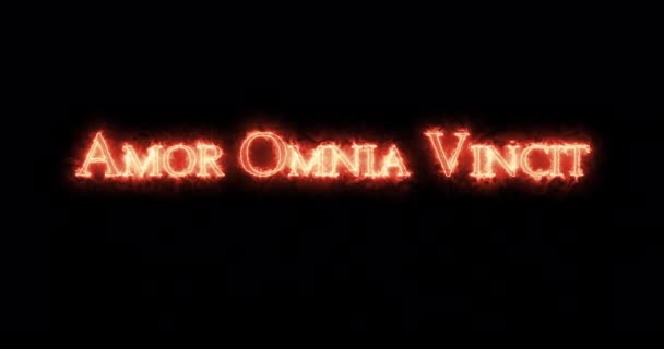 Amor Omnia Vincit Napsal Ohněm Smyčka — Stock video