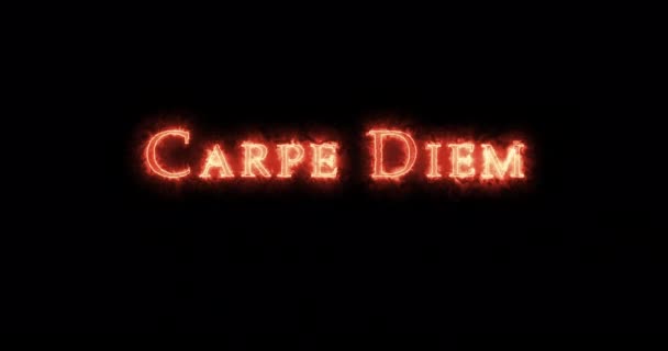 Carpe Diem Γραμμένο Φωτιά Βρόχος — Αρχείο Βίντεο