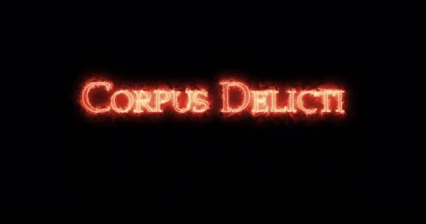 Corpus Delicti Γραμμένο Φωτιά Βρόχος — Αρχείο Βίντεο