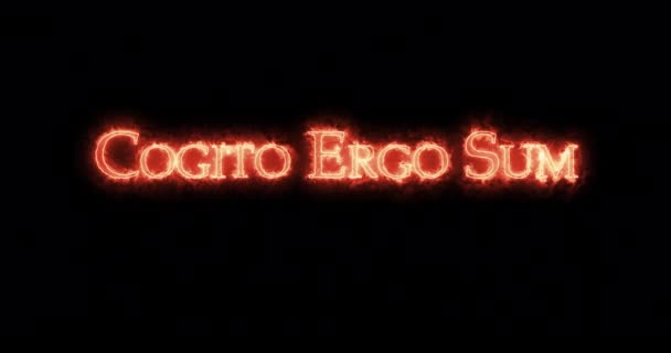 Cogito Ergo Sum Mit Feuer Geschrieben Schleife — Stockvideo