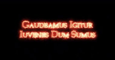 Gaudeamus igitur iuvenes dum sumus with fire. Döngü
