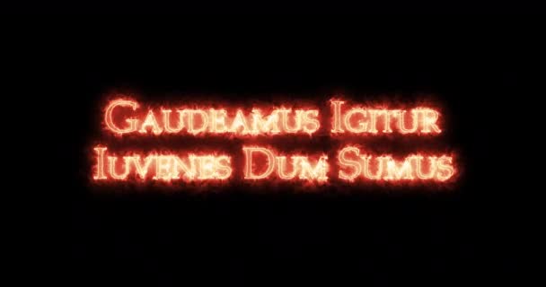 Gaudeamus Igitur Iuvenes Dum Sumus Γραμμένο Φωτιά Βρόχος — Αρχείο Βίντεο